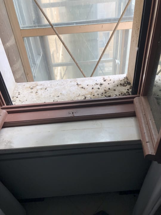 Zimmer TH Roma - Carpegna Palace