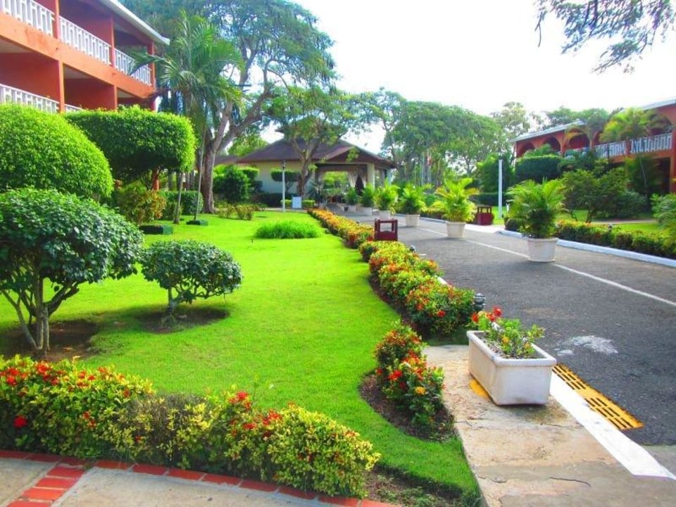 Gartenanlage BelleVue Dominican Bay