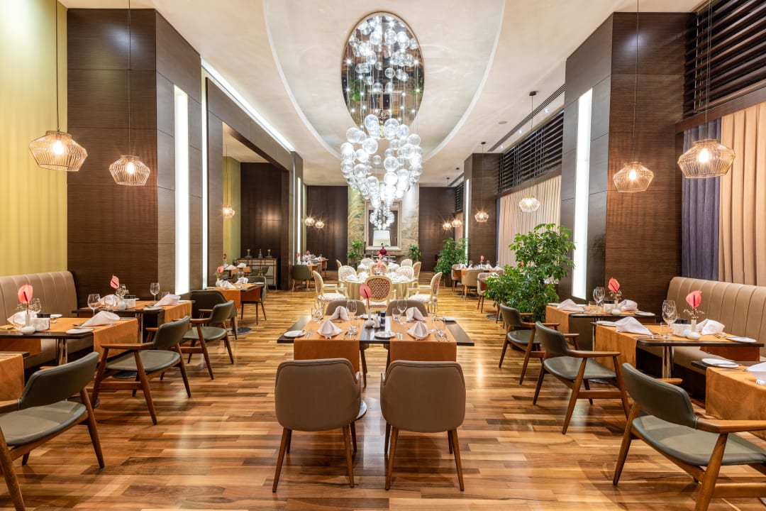 Gastro Arum Barut Collection