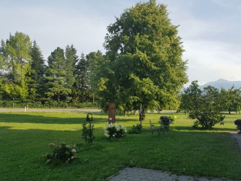 Ausblick Ferienwohnungen Berger-Hof