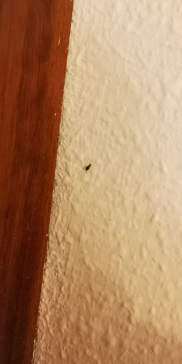 Zimmer SBH Hotel Taro Beach