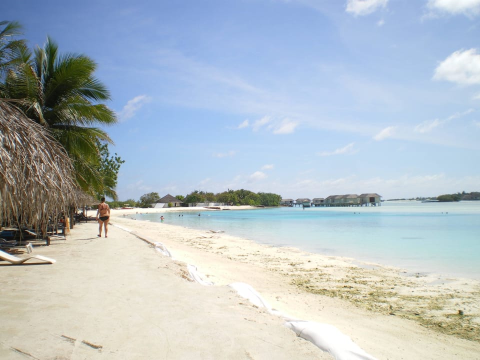 Leider überall Folie - Man müsste mal aufschütten Cinnamon Dhonveli Maldives