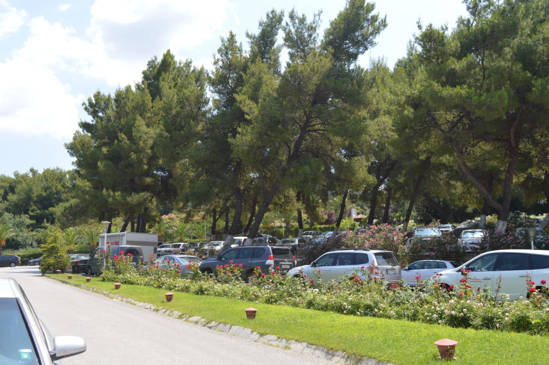 Hotel Hotel Athos Palace