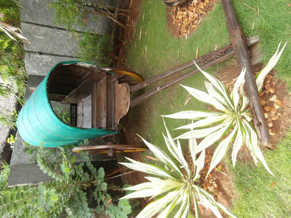 Kutsche  Hotel Sparsa Resort Thiruvanamalai