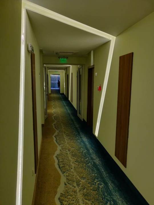 Zimmer Sentido Marea