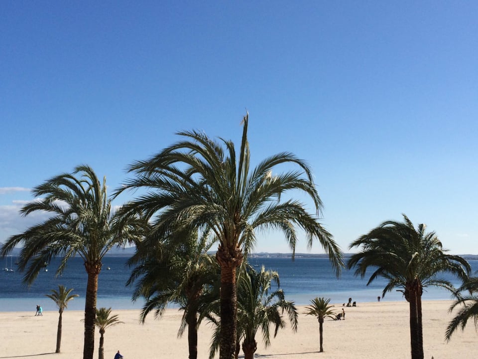Blick von unserem Zimmerbalkon VIVA Golf - Adults only 18+