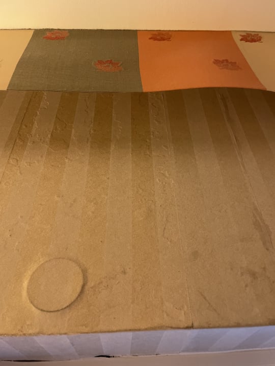 Zimmer Parkhotel 1901 Mannheim