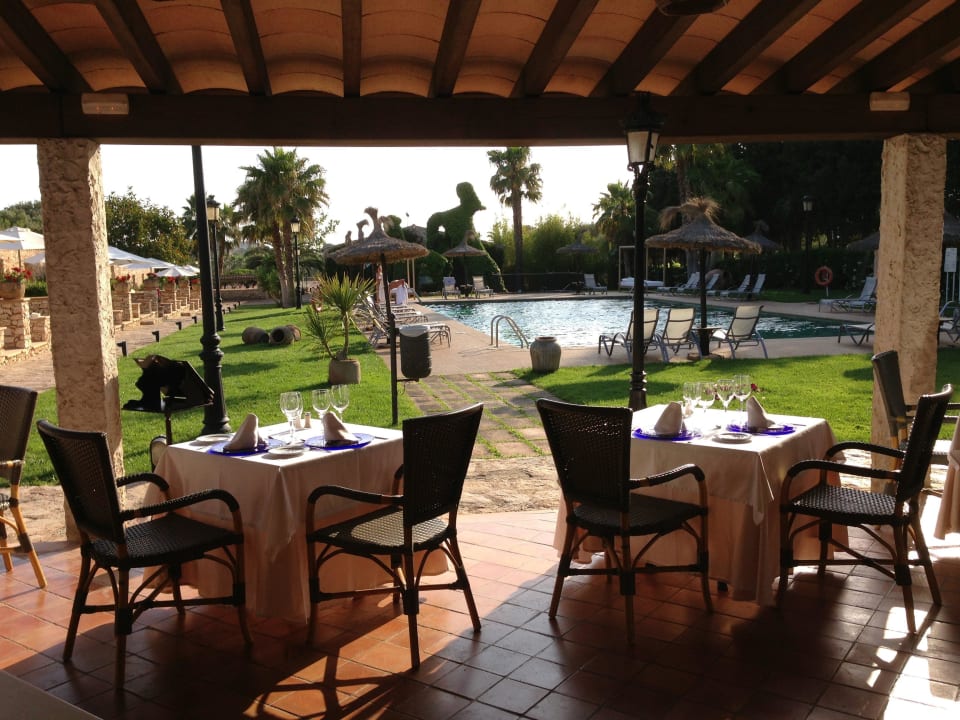 Blick vom Restaurant auf den Pool Sa Bassa Rotja Ecoturisme