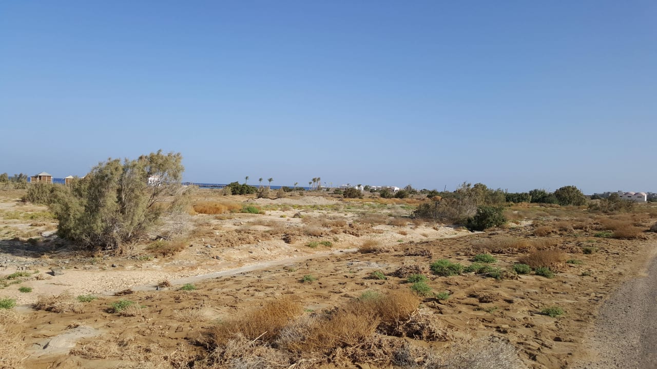 Blick Wadi - Surfstation Three Corners Equinox Beach Resort