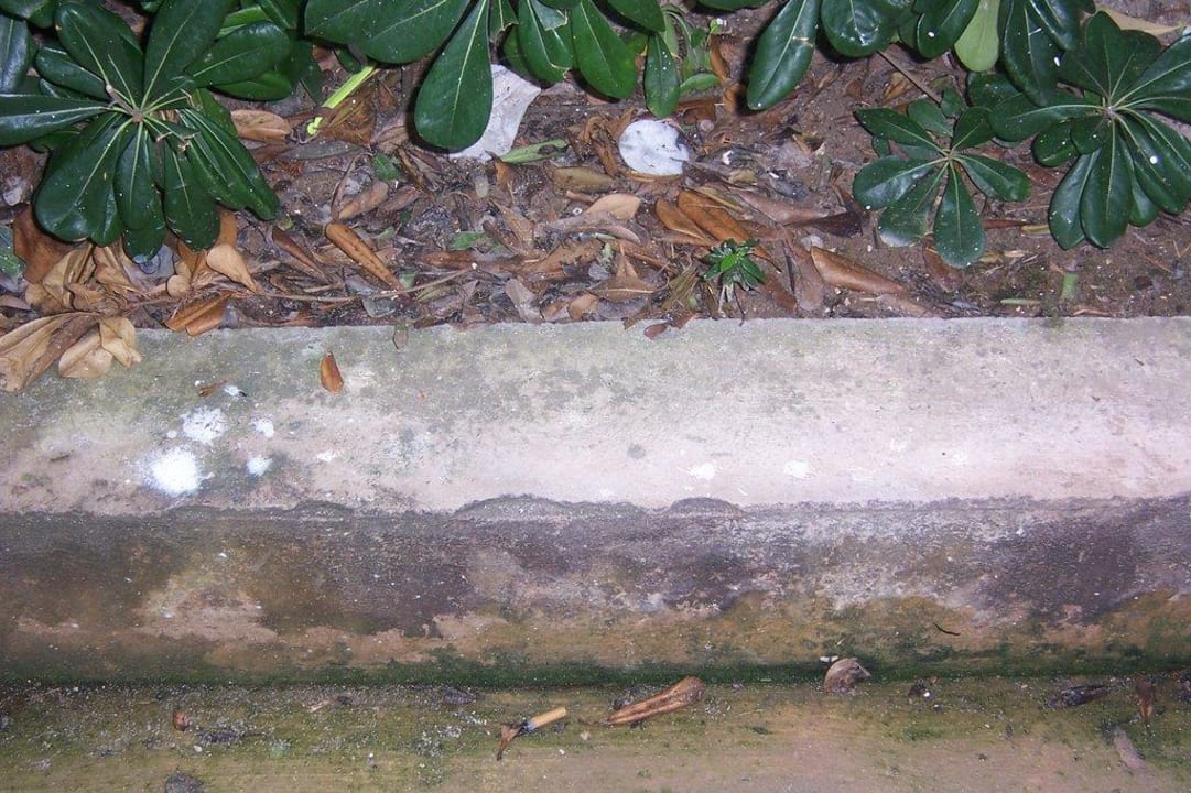 Balkon Hotel Exagon Park