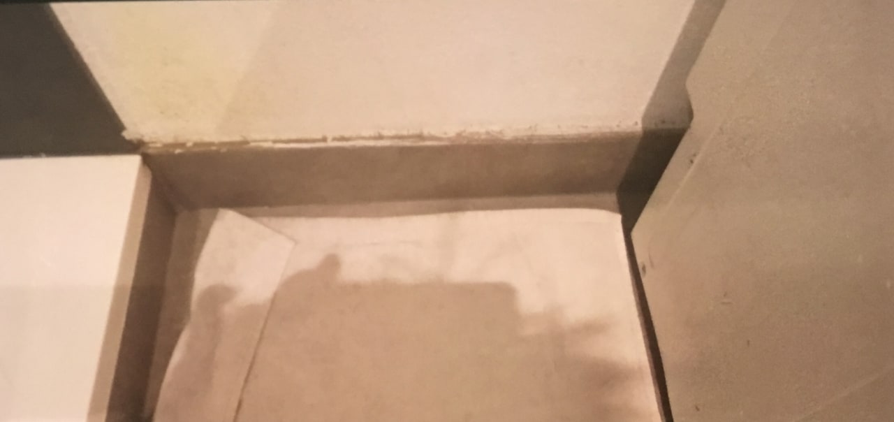 Zimmer SAV Ferienwohnung