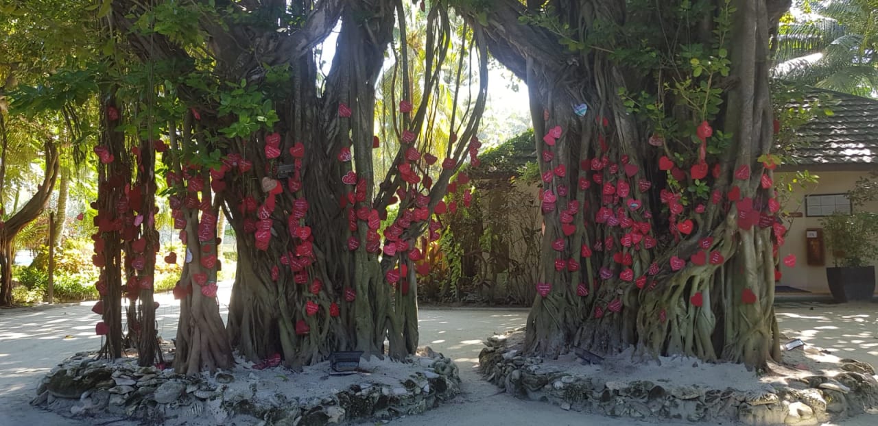 Außenansicht Adaaran Select Hudhuran Fushi - Premium All Inclusive