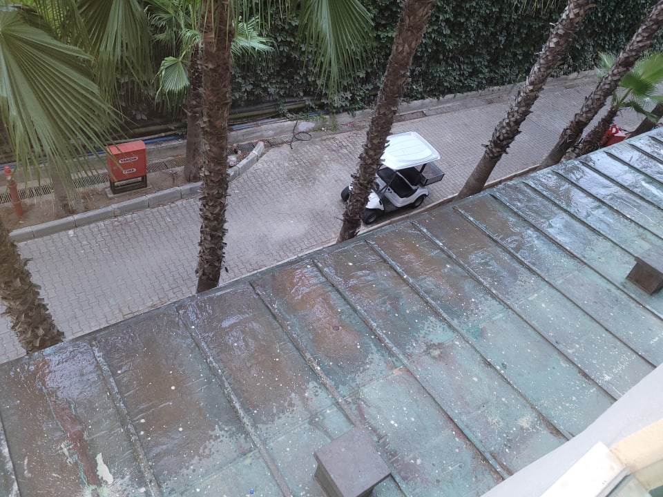 Zimmer Papillon Ayscha