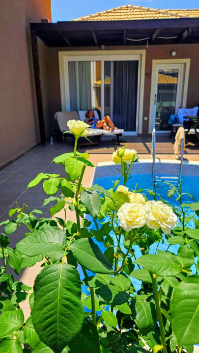 Zimmer Alexandra Golden Boutique - Adults only