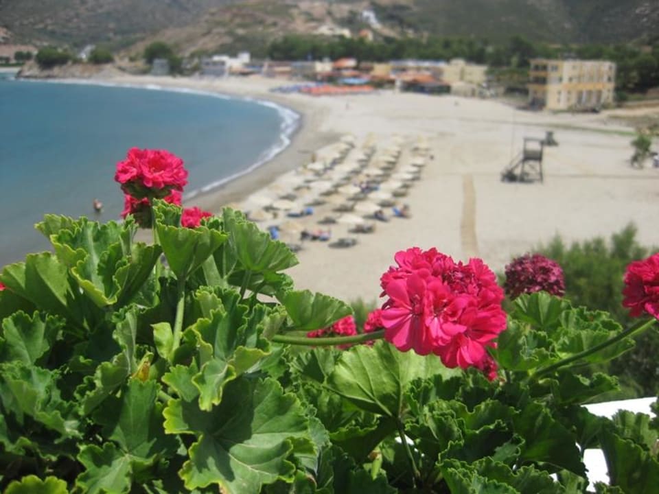 Strand durch die Blume Fodele Beach & Water Park Holiday Resort