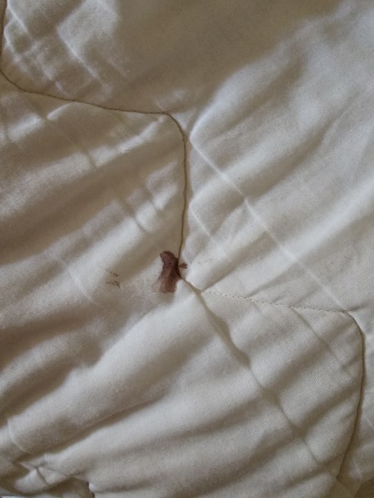 Zimmer Makadi Palace