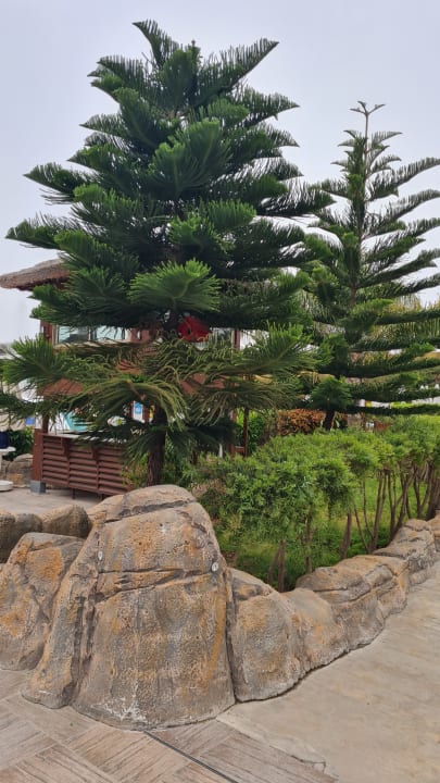 Gartenanlage Haydarpasha Palace