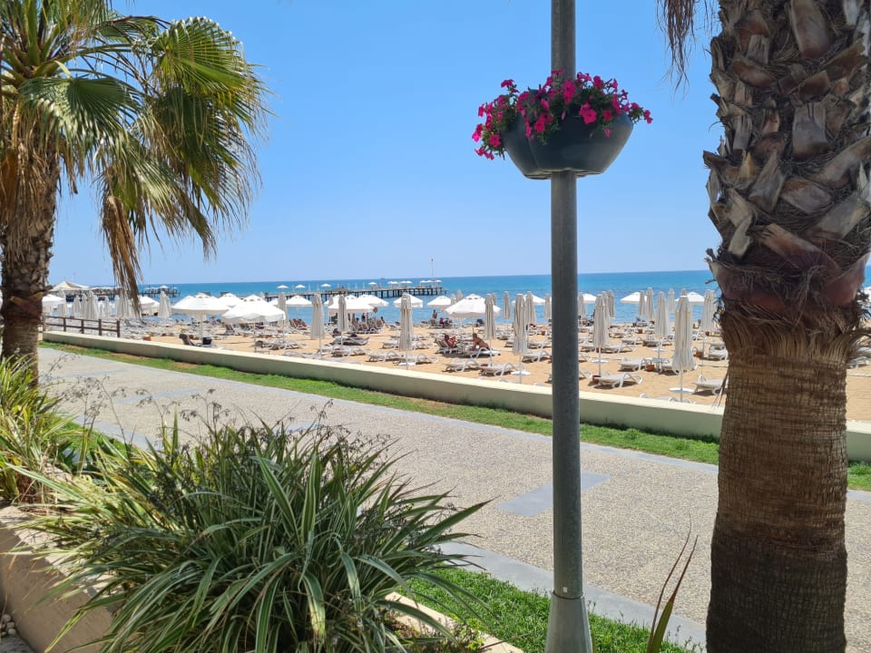 Strand PALOMA Perissia