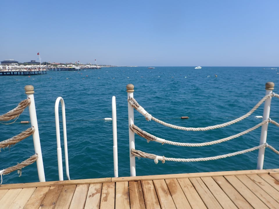 Strand Royal Seginus