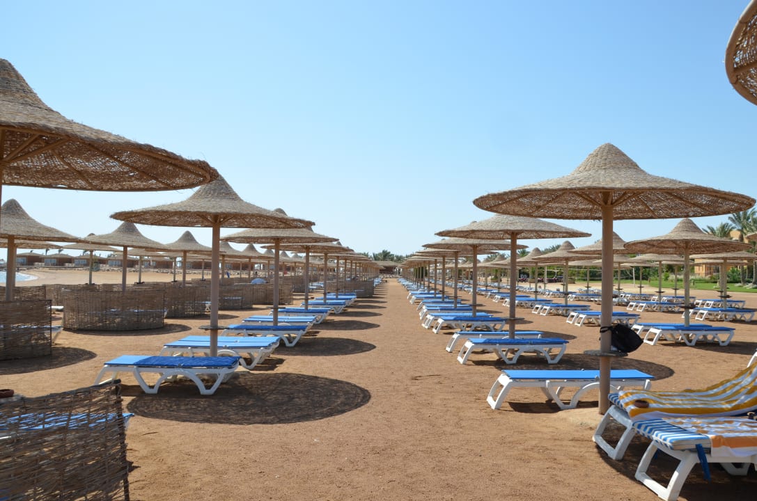 Liegen am Strand Stella Beach Resort & Spa Makadi Bay
