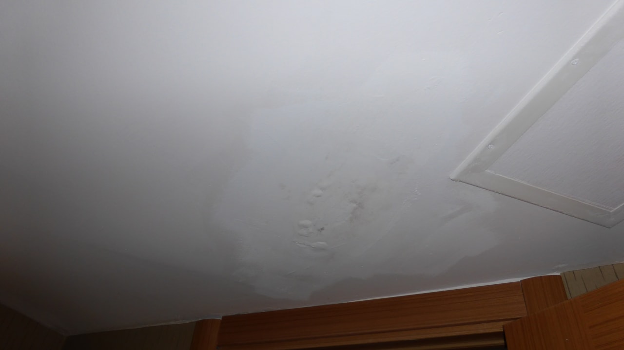 Zimmer Asteria Bloom Side