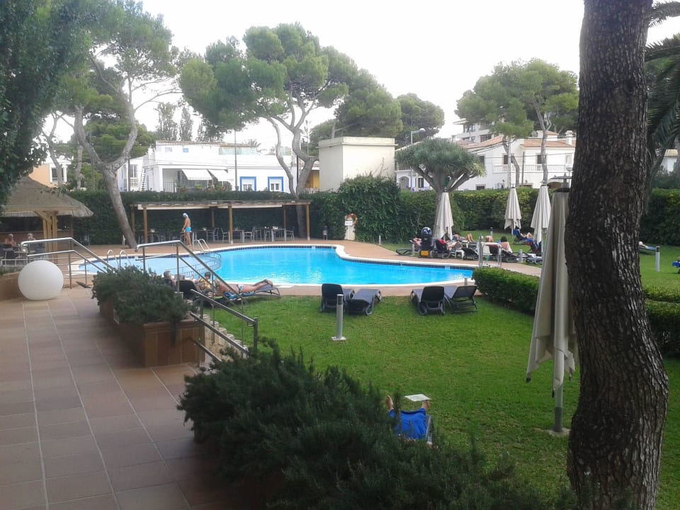 Pool und Garten rückseitig AYA Seahotel - Adults only