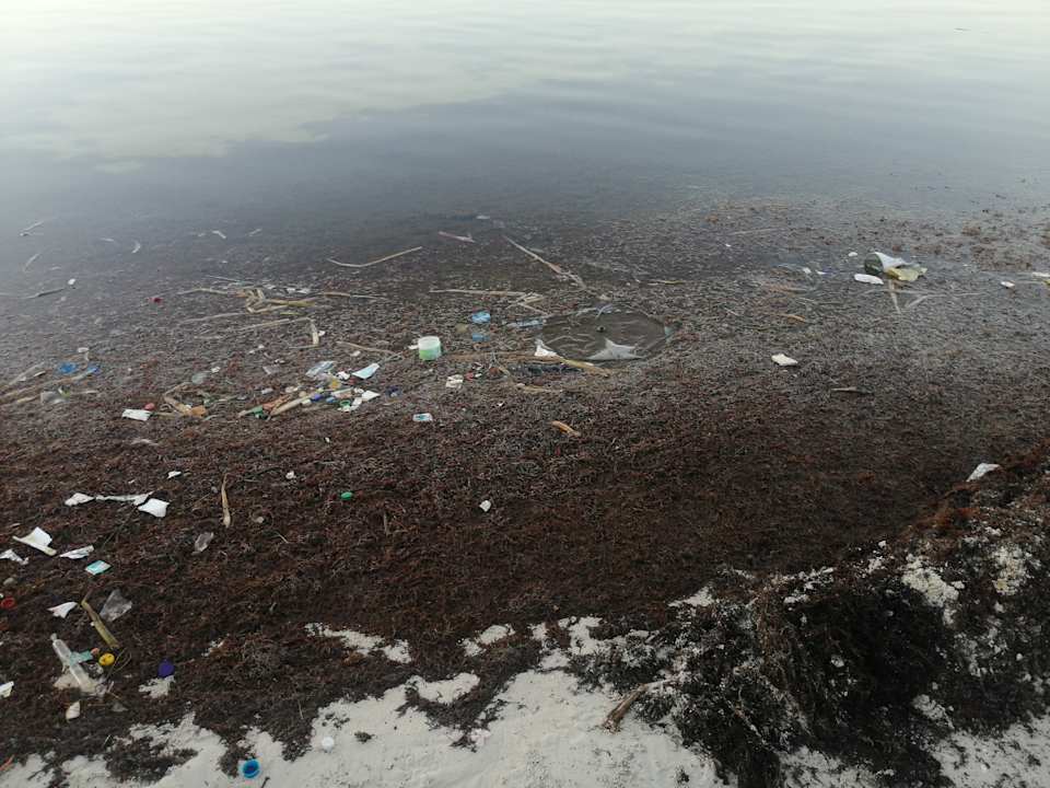 Strand whala!boca chica