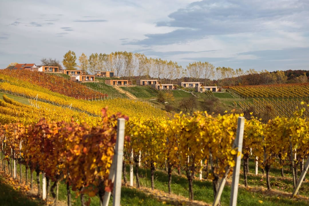 Weinurlaub in der Weinstraße im Herbst Weingarten-Resort Unterlamm Loipersdorf