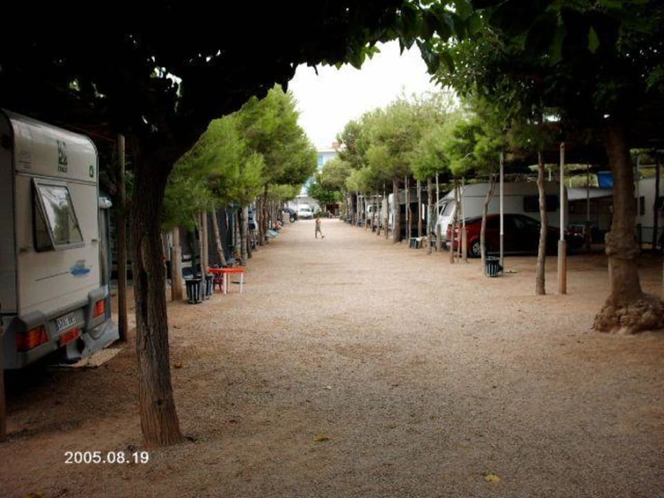 Eine Campingallee Apartaments i Camping La Plana