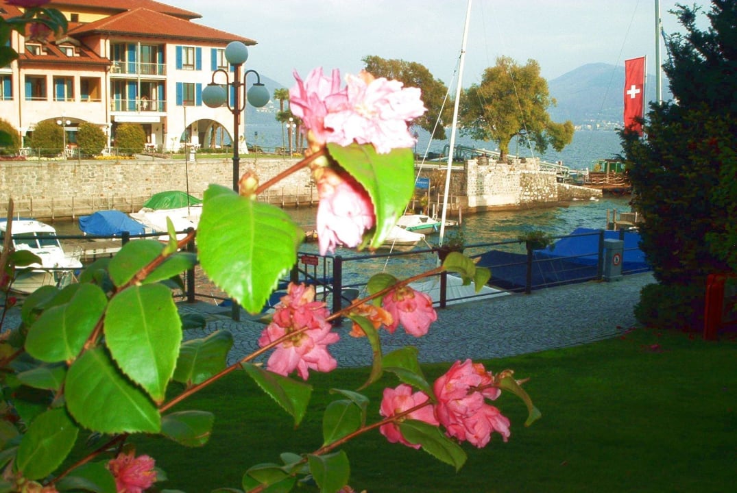 Hafen mit Camelie im Mai Hapimag Resort Cannero