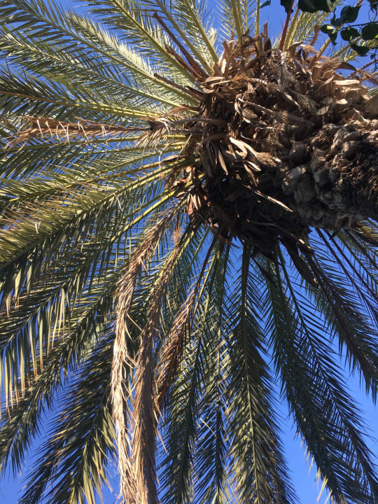 Pool Hotel Neos Matala