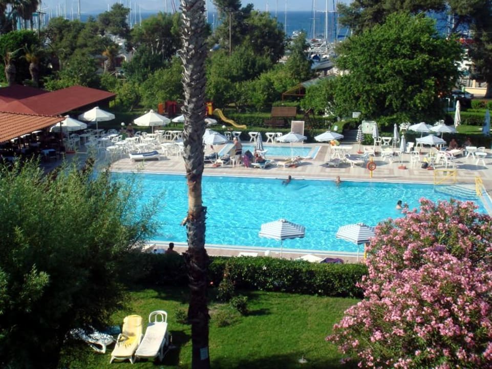 Pool Continental Palace