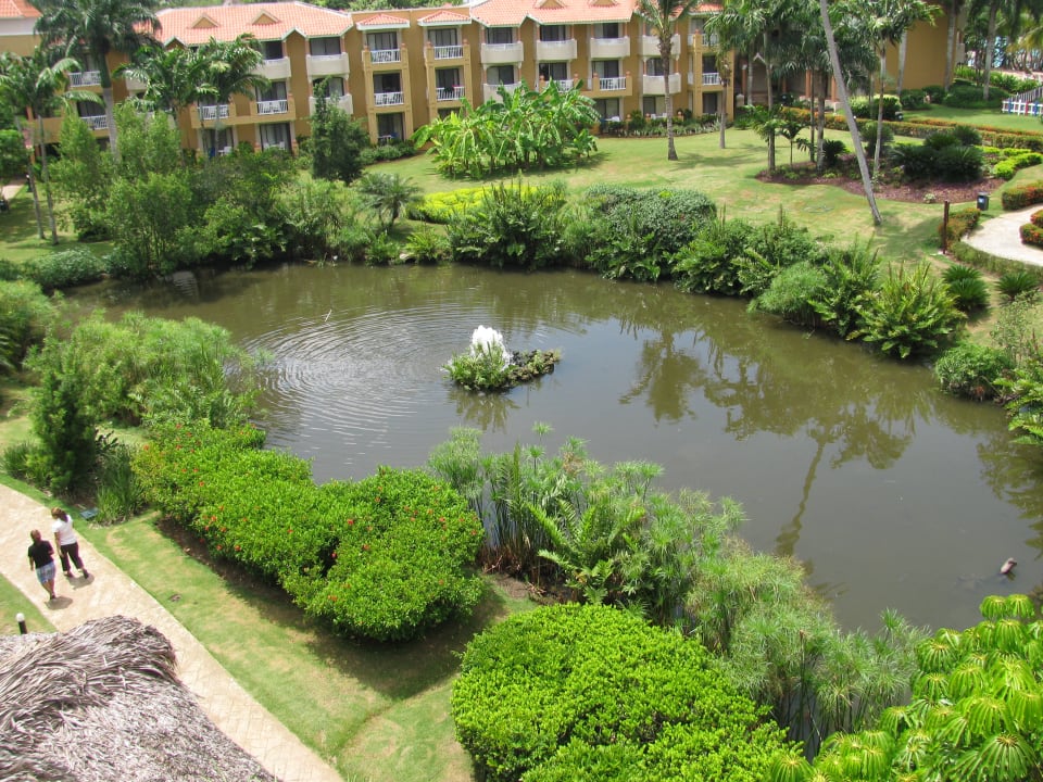 Gartenanlage Hotel Viva Dominicus Palace by Wyndham-All Inclusive Resort