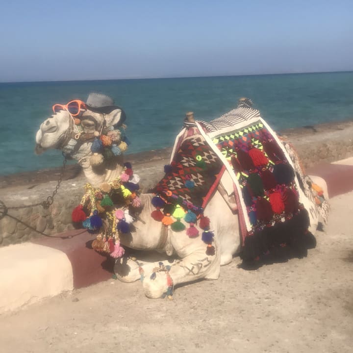 Sport & Freizeit Sunny Days Palma De Mirette Resort & Spa