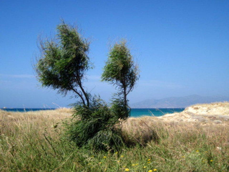 Strand vor den Studios Nikos Maria Studios