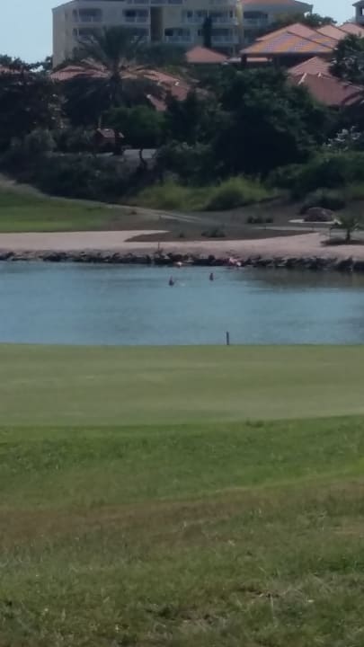 Ausblick Blue Bay Lodges - Sunny Curacao