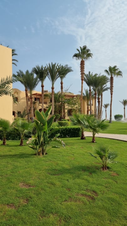 Gartenanlage Steigenberger Coraya Beach - Adults only