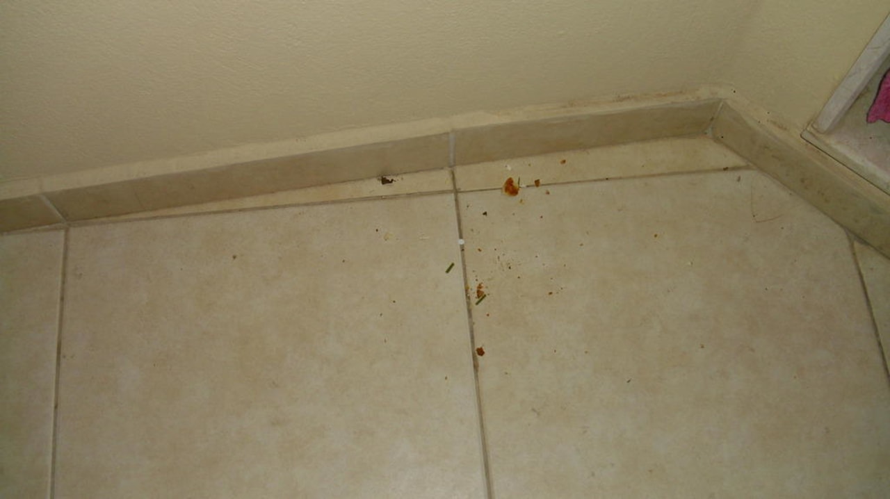 Balkon  Hotel Orfeus Park