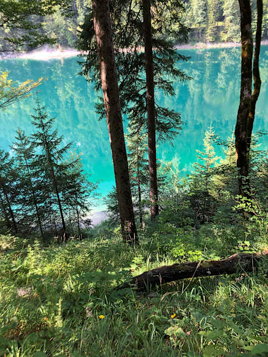 Sonstiges Gasthof Alter Wirt