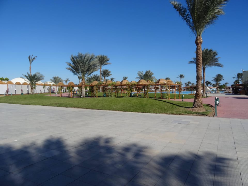 Anlage sehr weitläufig Desert Rose