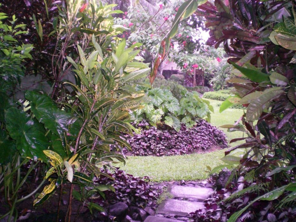 Weiterer Blick auf die Anlage Pacific Resort Rarotonga