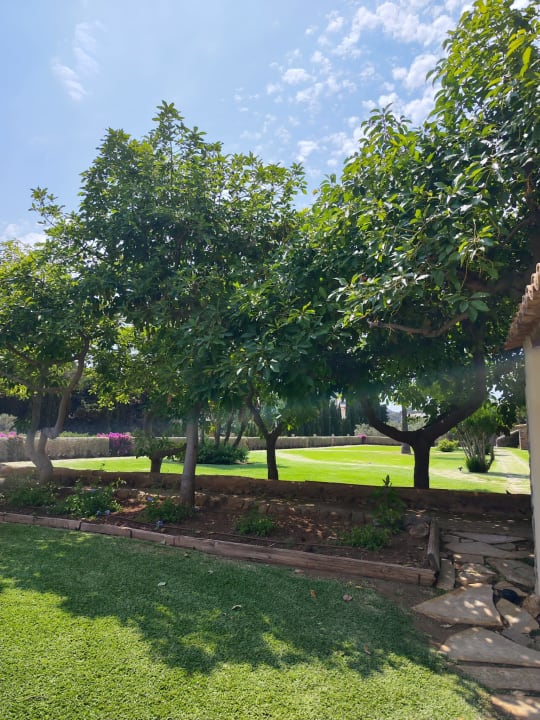 Gartenanlage Hotel Es Port