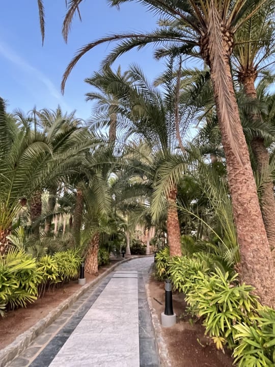 Außenansicht Hotel Riu Palace Oasis