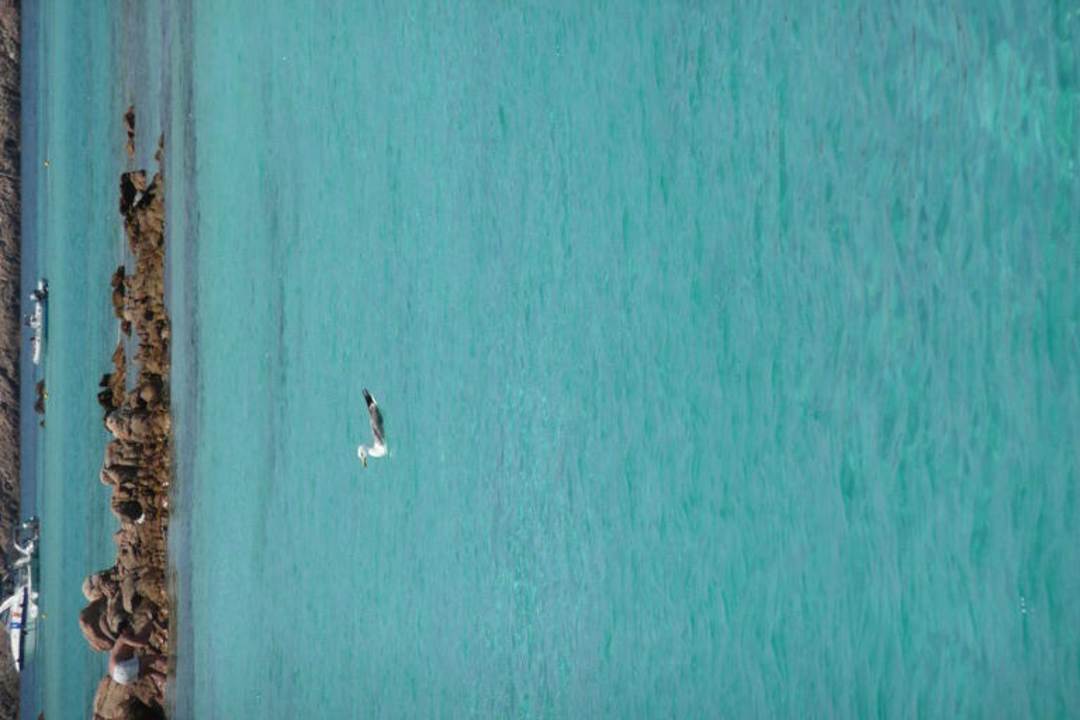 Wasser Hotel I Corbezzoli