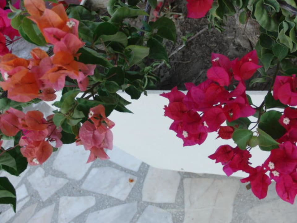 Auf dem Weg zum Strand Hotel Miramare Beach