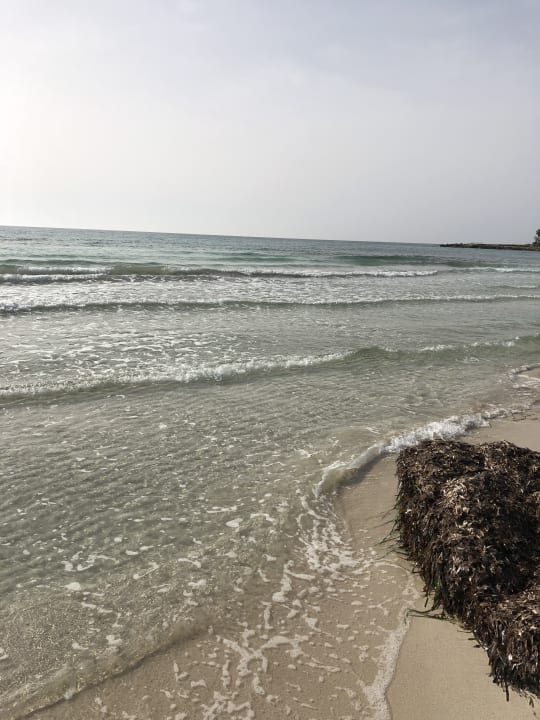 Strand Hipotels Mediterraneo Club