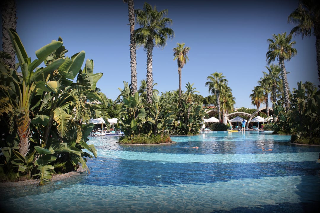 Pool Susesi Luxury Resort