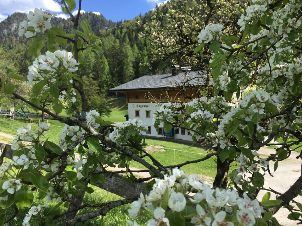 Außenansicht Pension-Biobauernhof Hagenhof