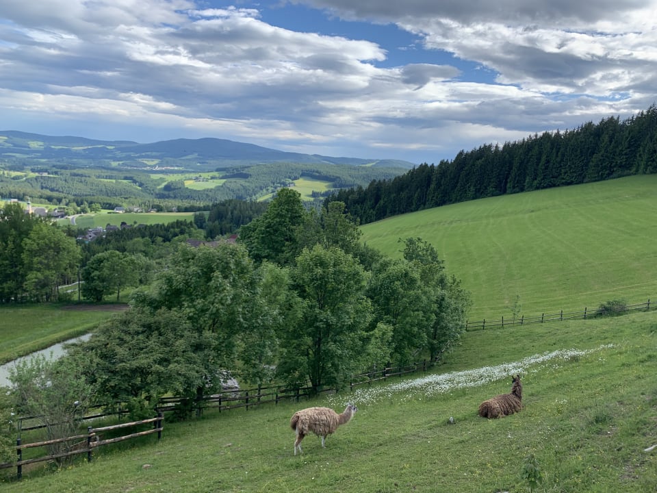 Gartenanlage Familienhotel Berger