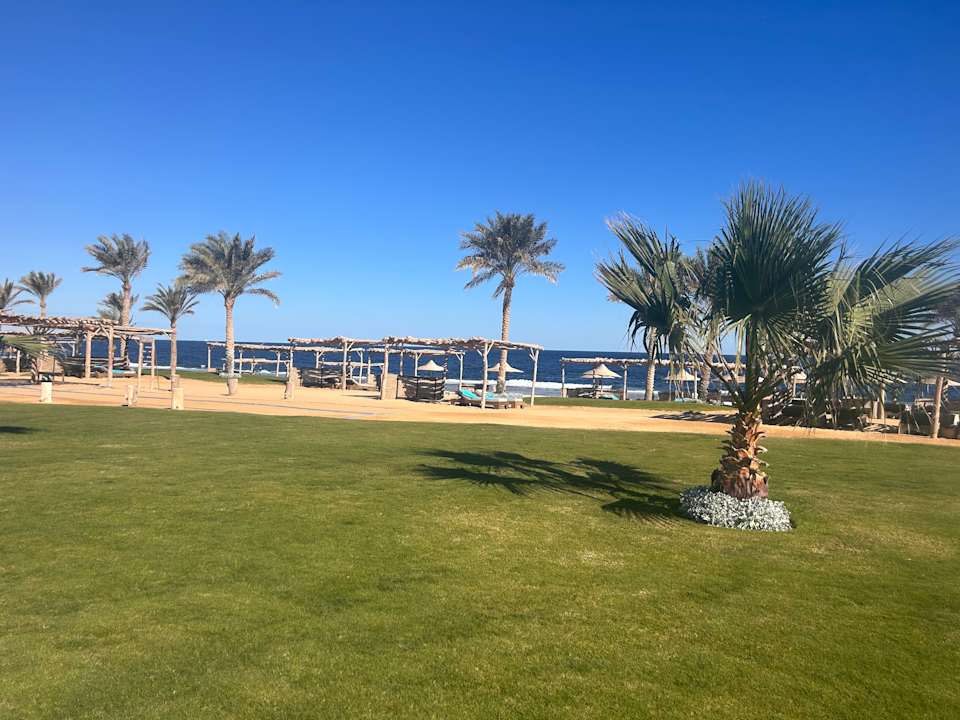 Gartenanlage Steigenberger Coraya Beach - Adults only